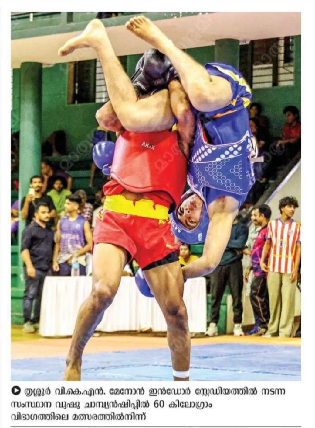 Wushu